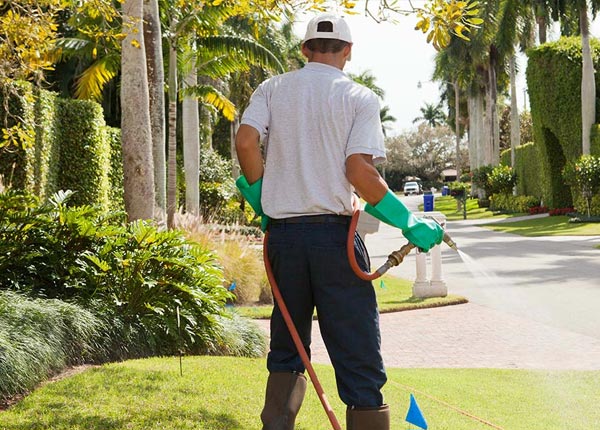 About Oneida KS Pest Control
